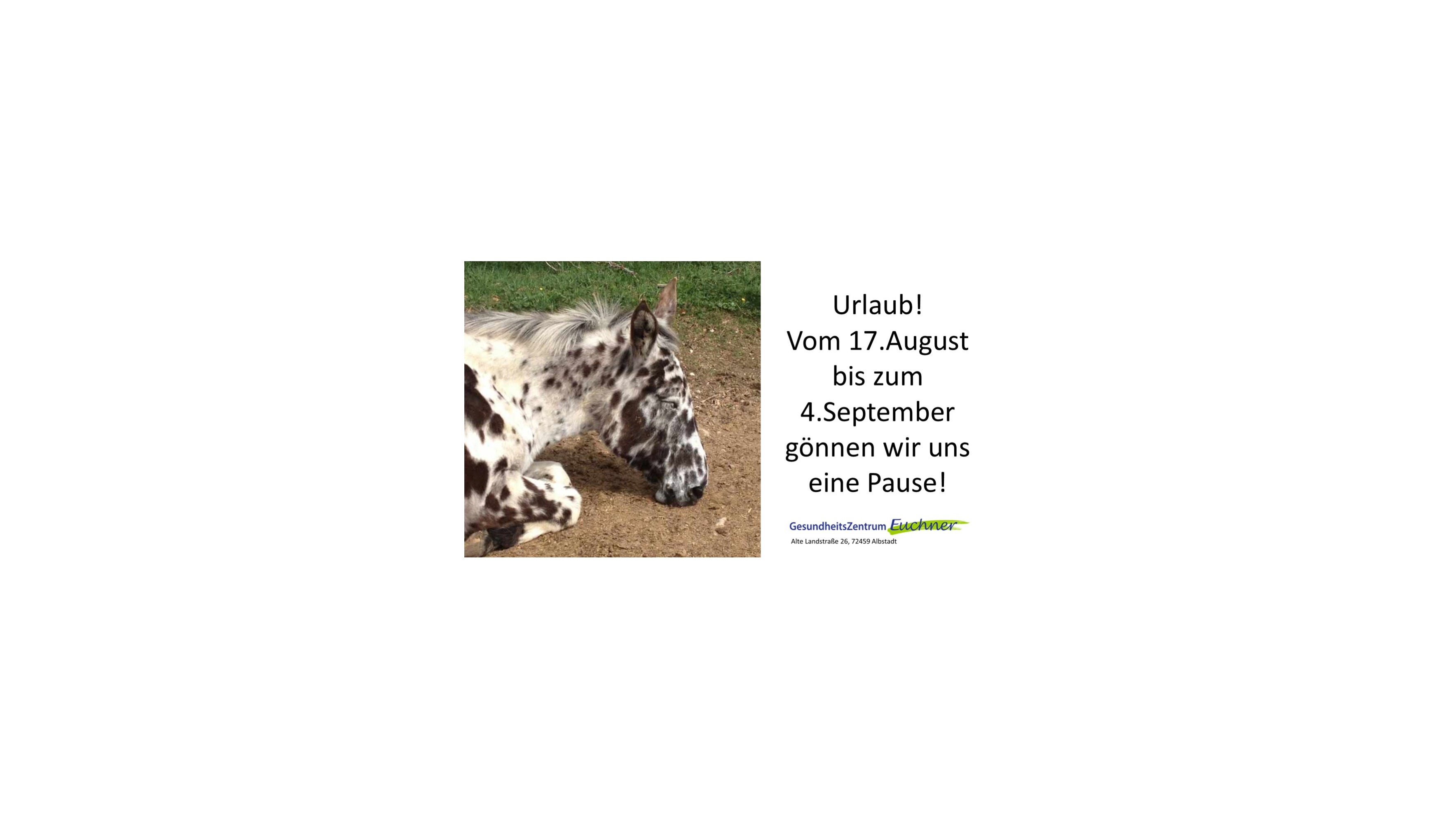 Slideshow-Bild